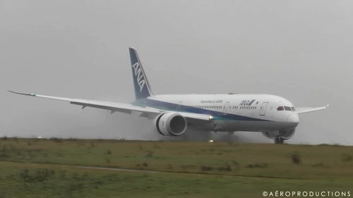 全日空航空的波音787梦想客机雨天降落在巴黎机场